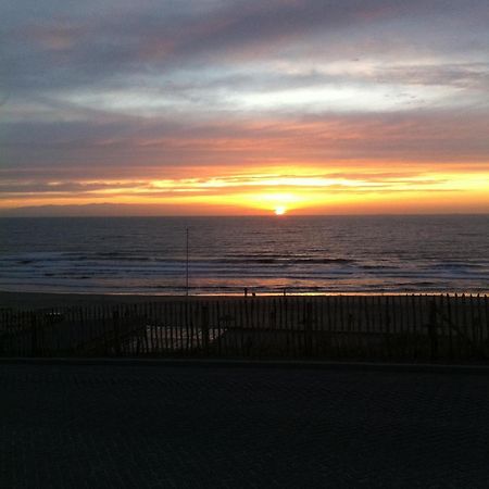 Life@Sea Apartment Zandvoort Exterior foto