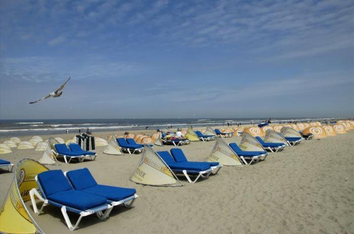 Life@Sea Apartment Zandvoort Exterior foto